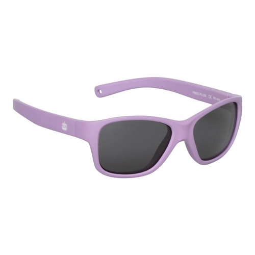 Purple Frame Smoke Lens Sunglasses