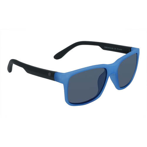 Black And Blue Frame Smoke Lens Sunglasses