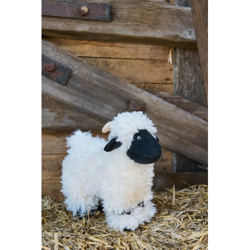 Valentina The Valais Sheep