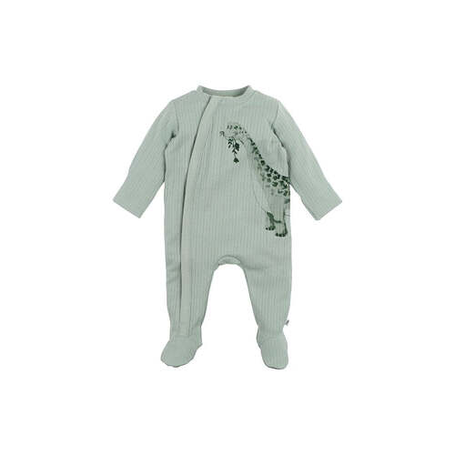 T-Rex Herbivore Zip Romper - Moss